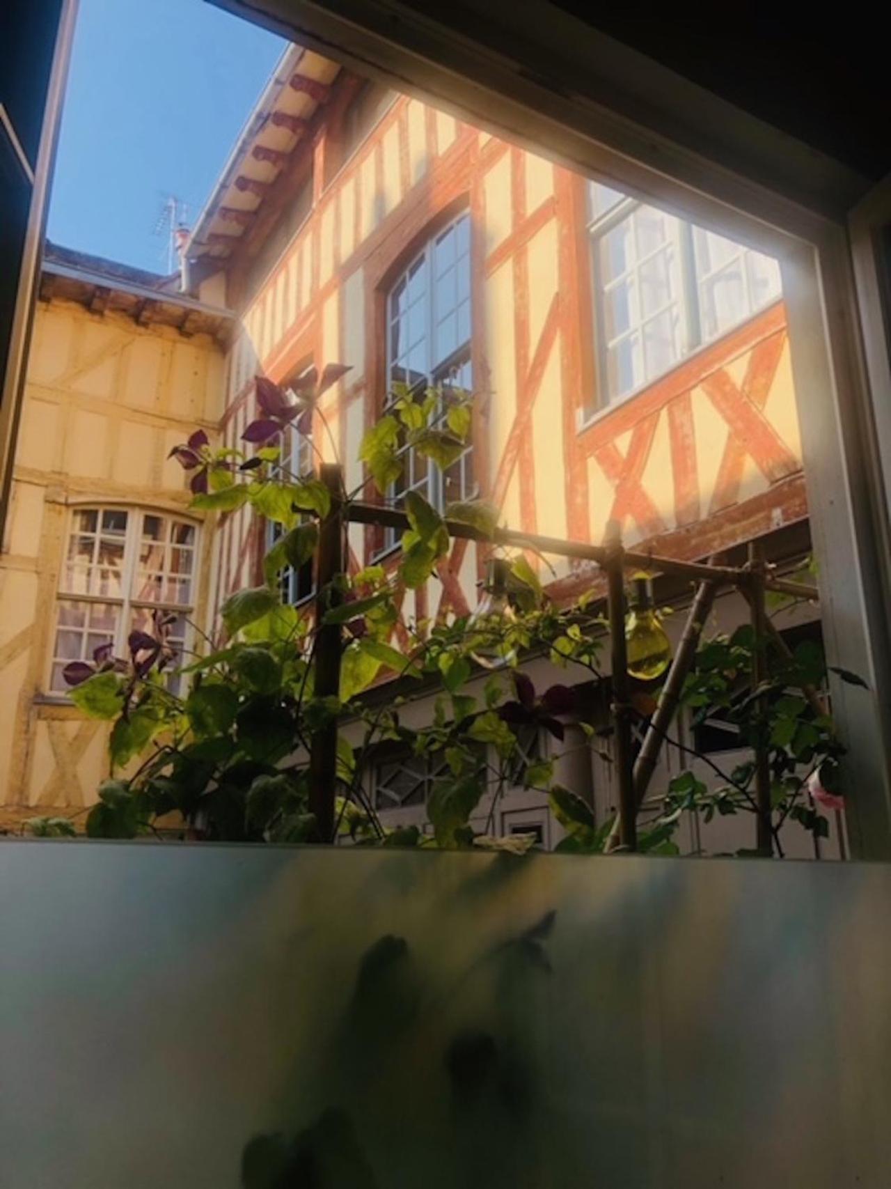 Atelier Des Glycines, Troyes Bouchon De Champagne, Sublime Site Patrimonial Apartment Ngoại thất bức ảnh