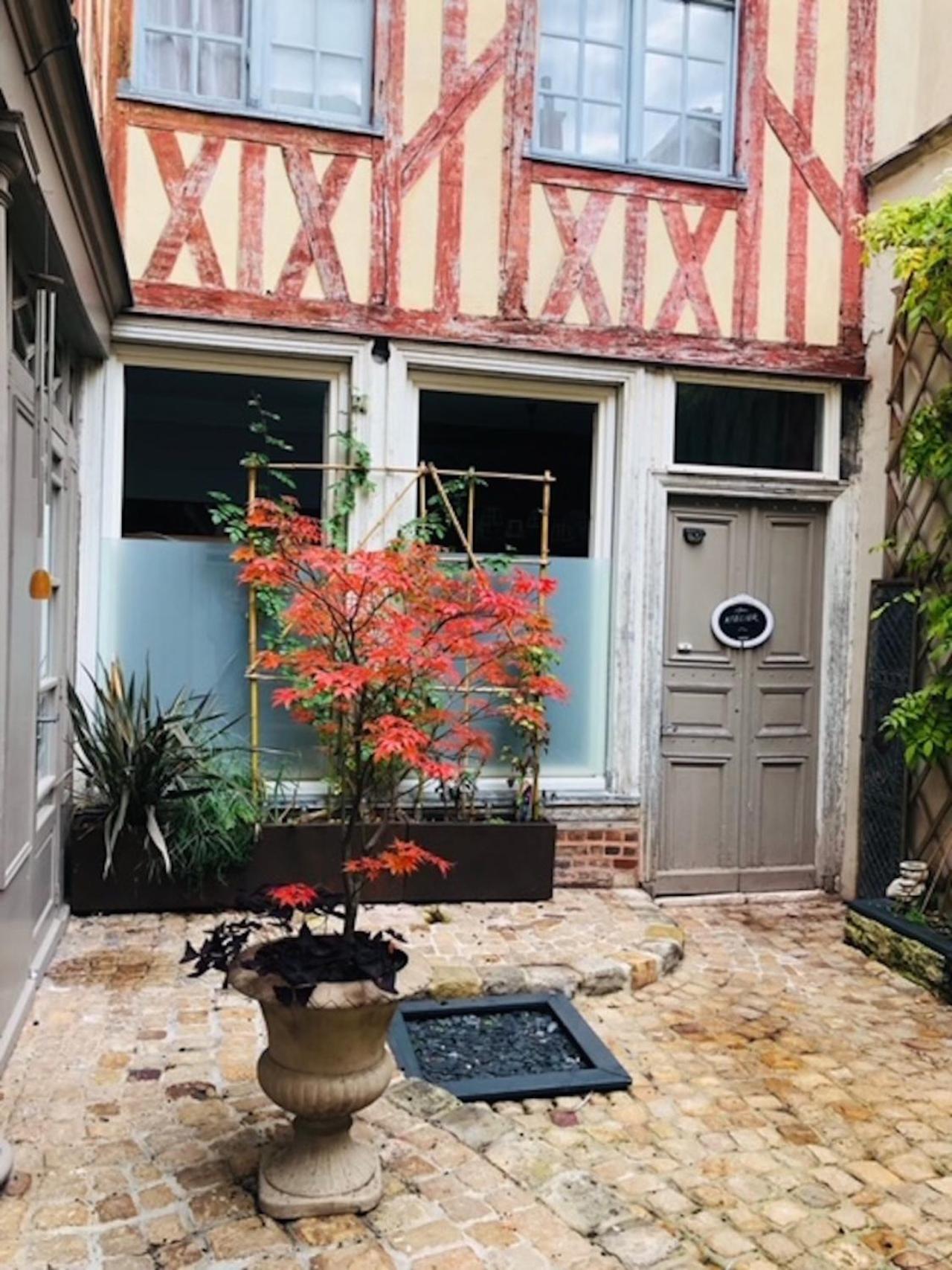 Atelier Des Glycines, Troyes Bouchon De Champagne, Sublime Site Patrimonial Apartment Ngoại thất bức ảnh